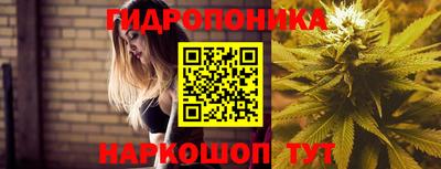 ГАЛЛЮЦИНОГЕННЫЕ ГРИБЫ Славянск-на-Кубани