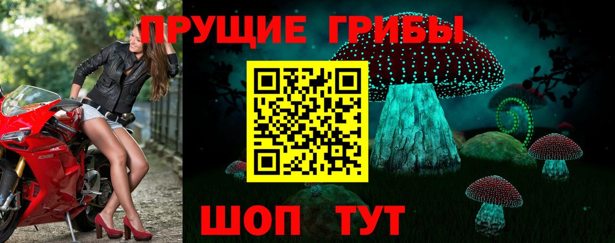Псилоцибиновые грибы мухоморы Чусовой